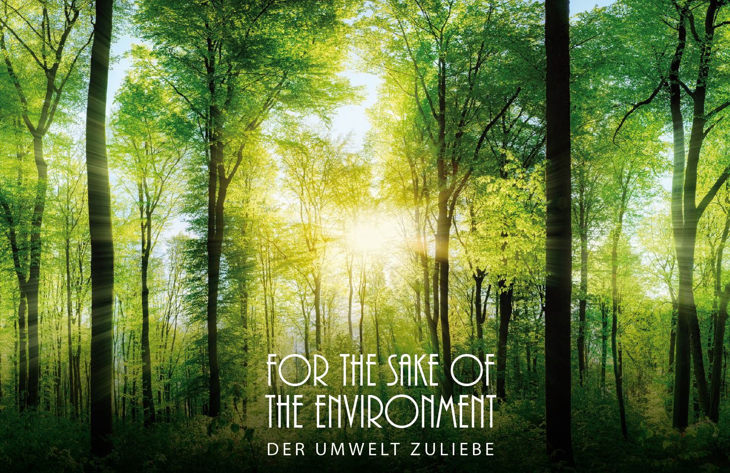 Öko-Flusenroller mit Kartongriff, 5m Motiv Wald Öko-Flusenroller mit Kartongriff, 5m Motiv Wald